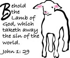 A Lamb for sacrifice