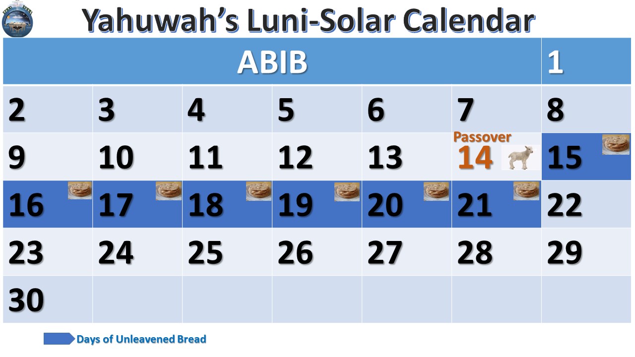 Lunisolar Month