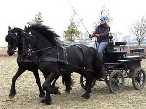 Horse and Chariot