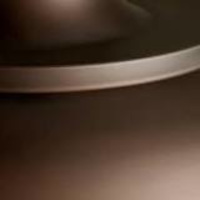 The color of Burnished bronze