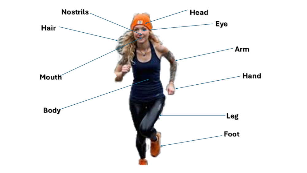 Female features