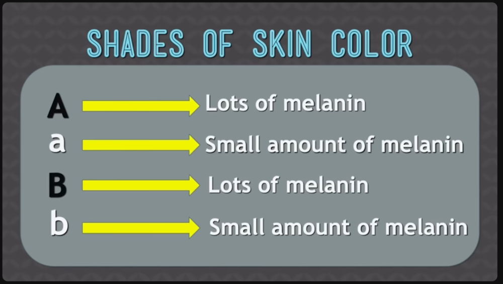 Your Melanin Variant