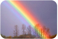 Rainbow Of Promise 