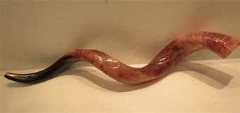 A Shofar, trumpet of ram's horn